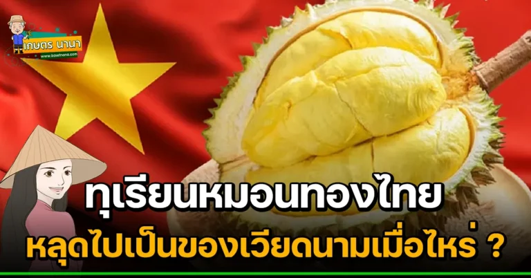 ทุเรียนหมอนทองไทย หลุดไปเป็นของเวียดนามเมื่อไหร่ ?