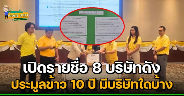 เปิดรายชื่อ 8 บริษัทดัง ประมูลข้าว 10 ปี มีบริษัทอะไรบ้าง