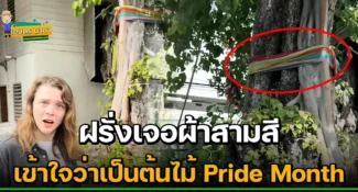 เอ็นดูฝรั่งเจอ ผ้าสามสีผูกต้นไม้ นึกว่า ฉลอง Pride Month คนไทยแห่แซว “พราย” ที่ไม่ใช่ “Pride”
